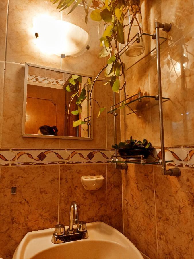 Casa De Los Pajaros - B&B Valladolid  Luaran gambar