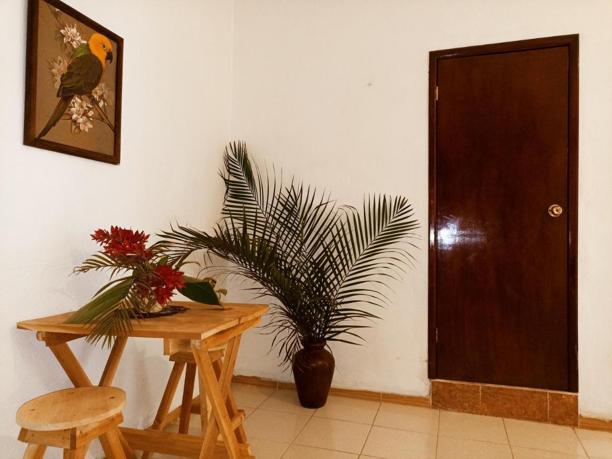 Casa De Los Pajaros - B&B Valladolid  Luaran gambar