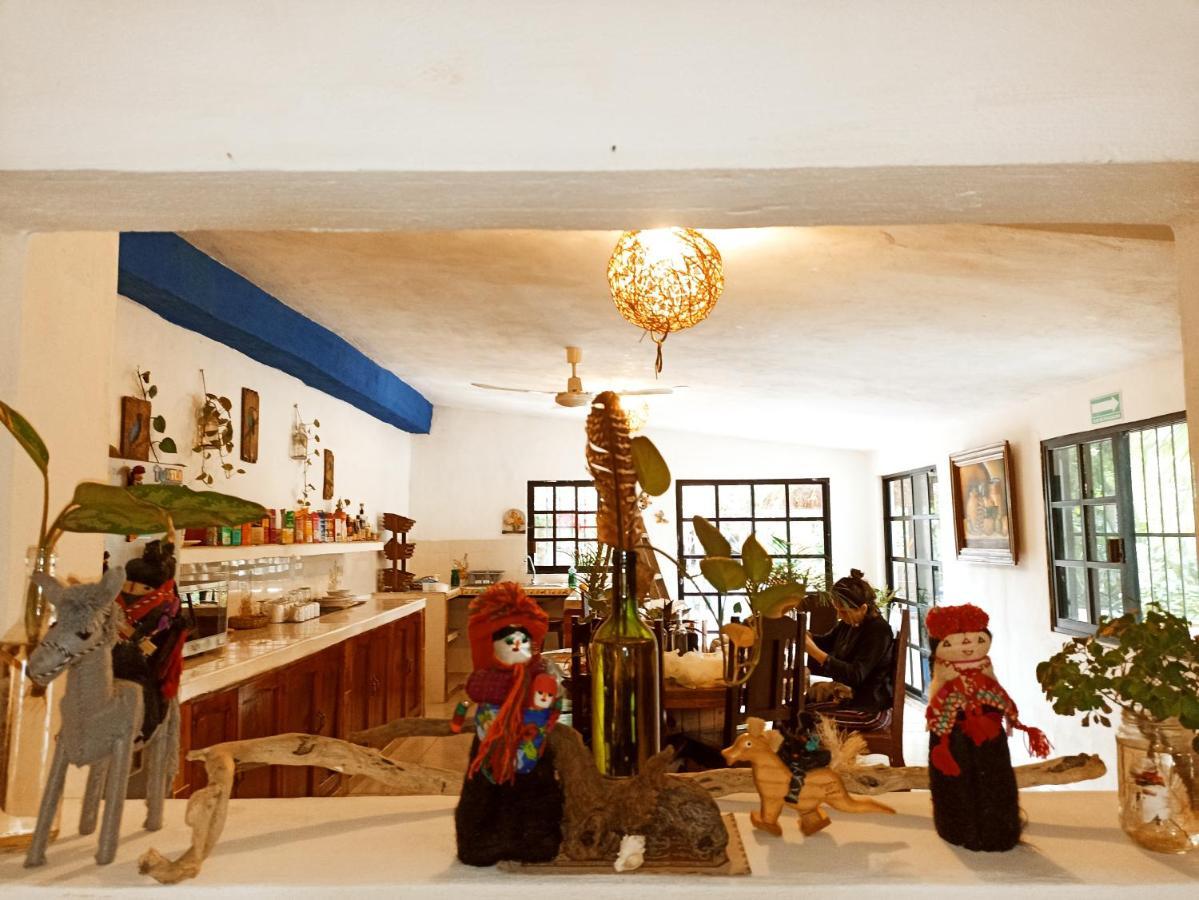 Casa De Los Pajaros - B&B Valladolid  Luaran gambar