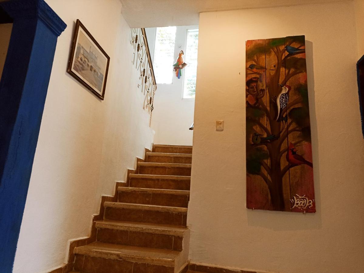 Casa De Los Pajaros - B&B Valladolid  Luaran gambar