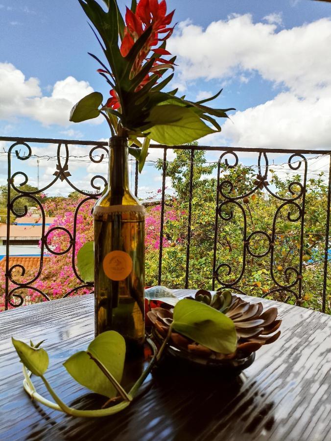 Casa De Los Pajaros - B&B Valladolid  Luaran gambar