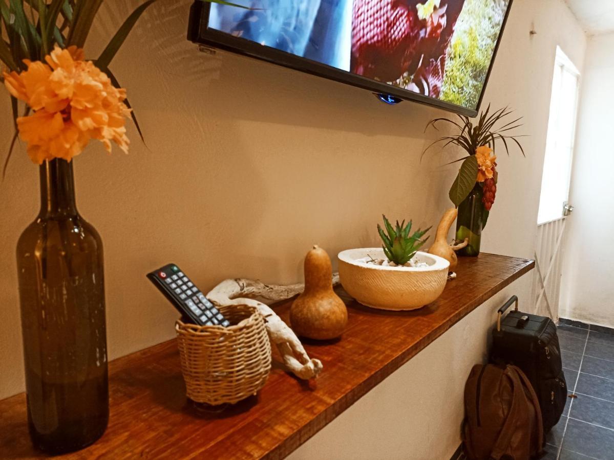 Casa De Los Pajaros - B&B Valladolid  Luaran gambar