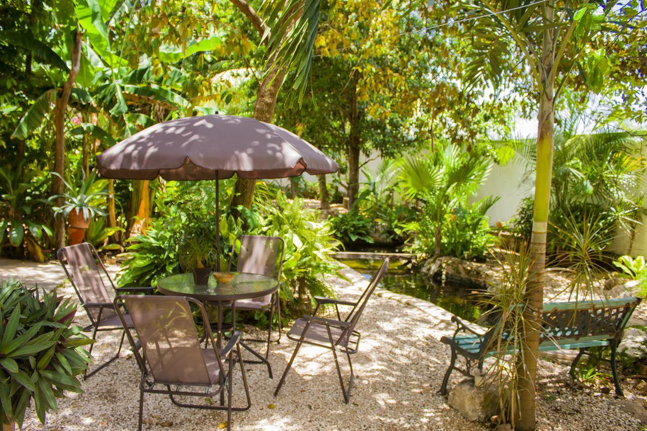 Casa De Los Pajaros - B&B Valladolid  Luaran gambar