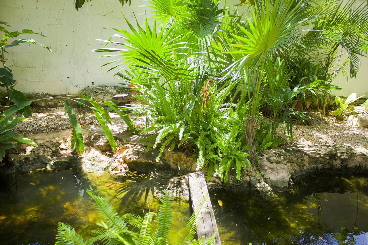 Casa De Los Pajaros - B&B Valladolid  Luaran gambar