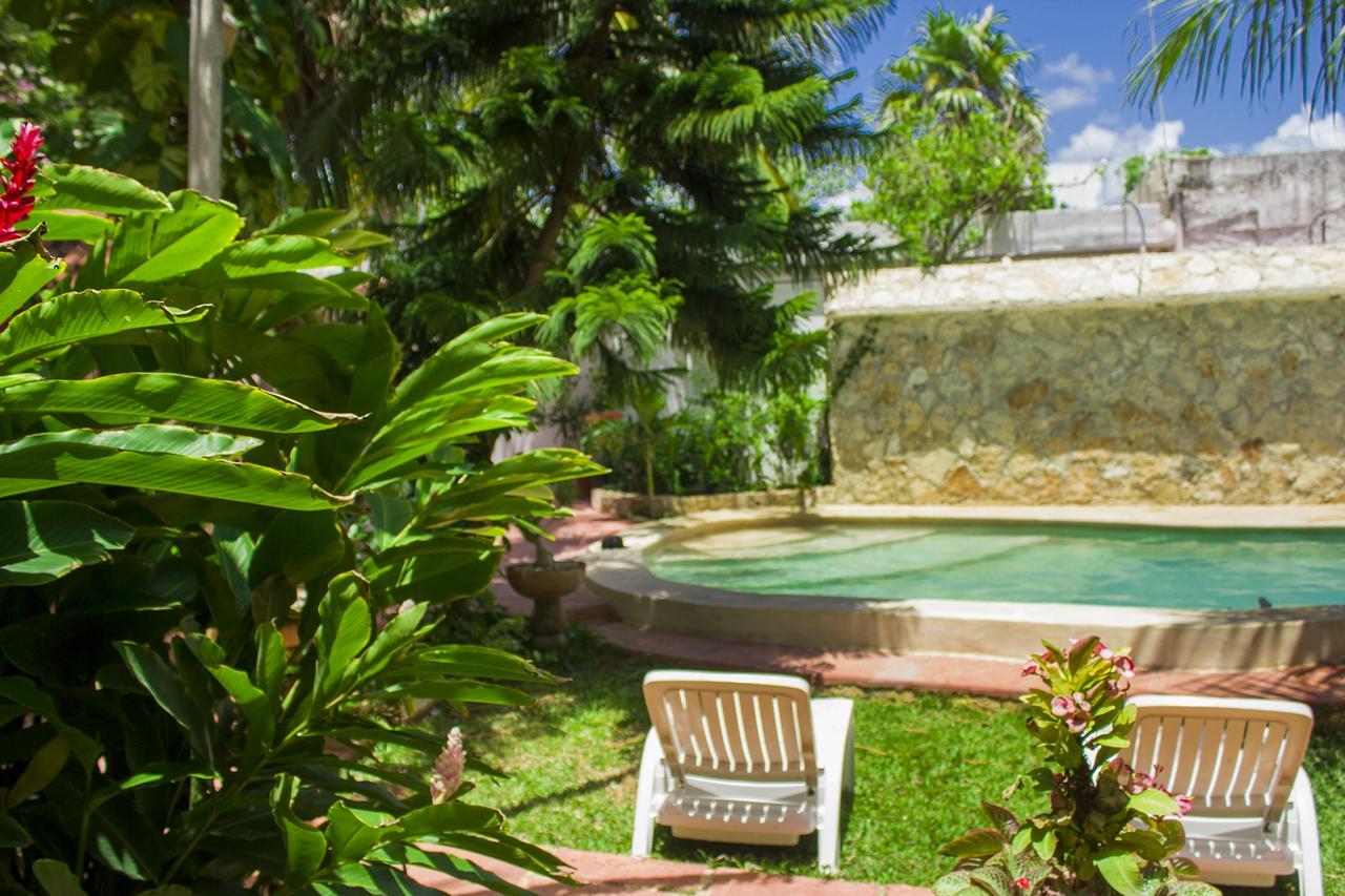 Casa De Los Pajaros - B&B Valladolid  Luaran gambar