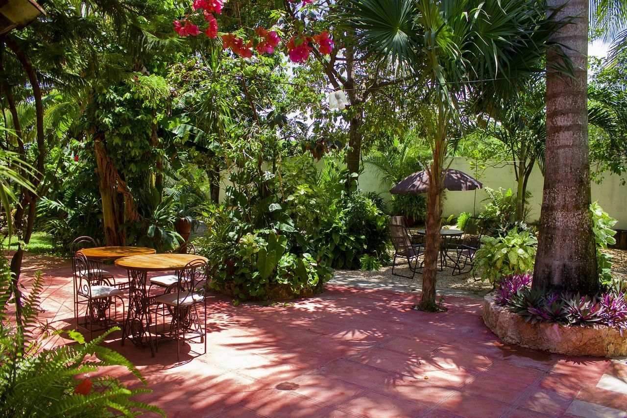 Casa De Los Pajaros - B&B Valladolid  Luaran gambar