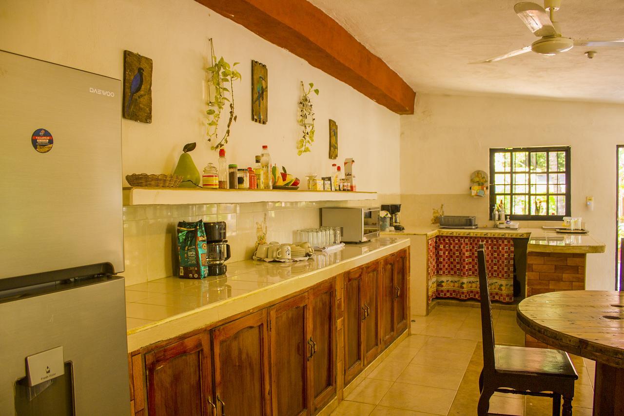 Casa De Los Pajaros - B&B Valladolid  Luaran gambar